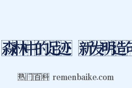 森林中的足迹·新发明造句是什么意思的图片